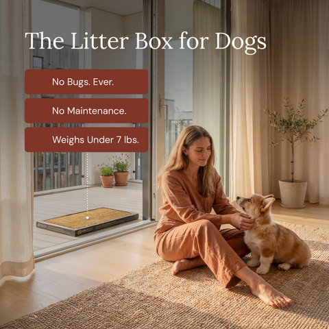 Puppy Bark Potty - Monthly Subscription
