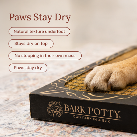 Puppy Bark Potty - Monthly Subscription