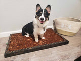 Corgi puppy sitting on a Bark Potty disposable pet potty beside a woven basket.