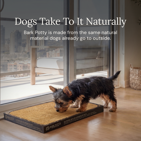 Puppy Bark Potty - Monthly Subscription