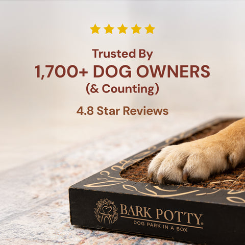 The Litter Box for Dogs - Standard