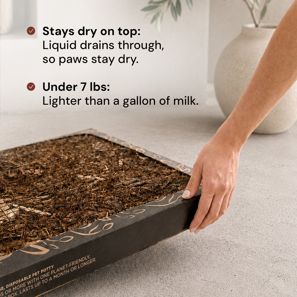 Bark Potty 6