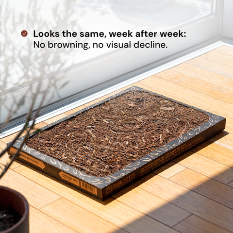 The Litter Box for Dogs - Standard