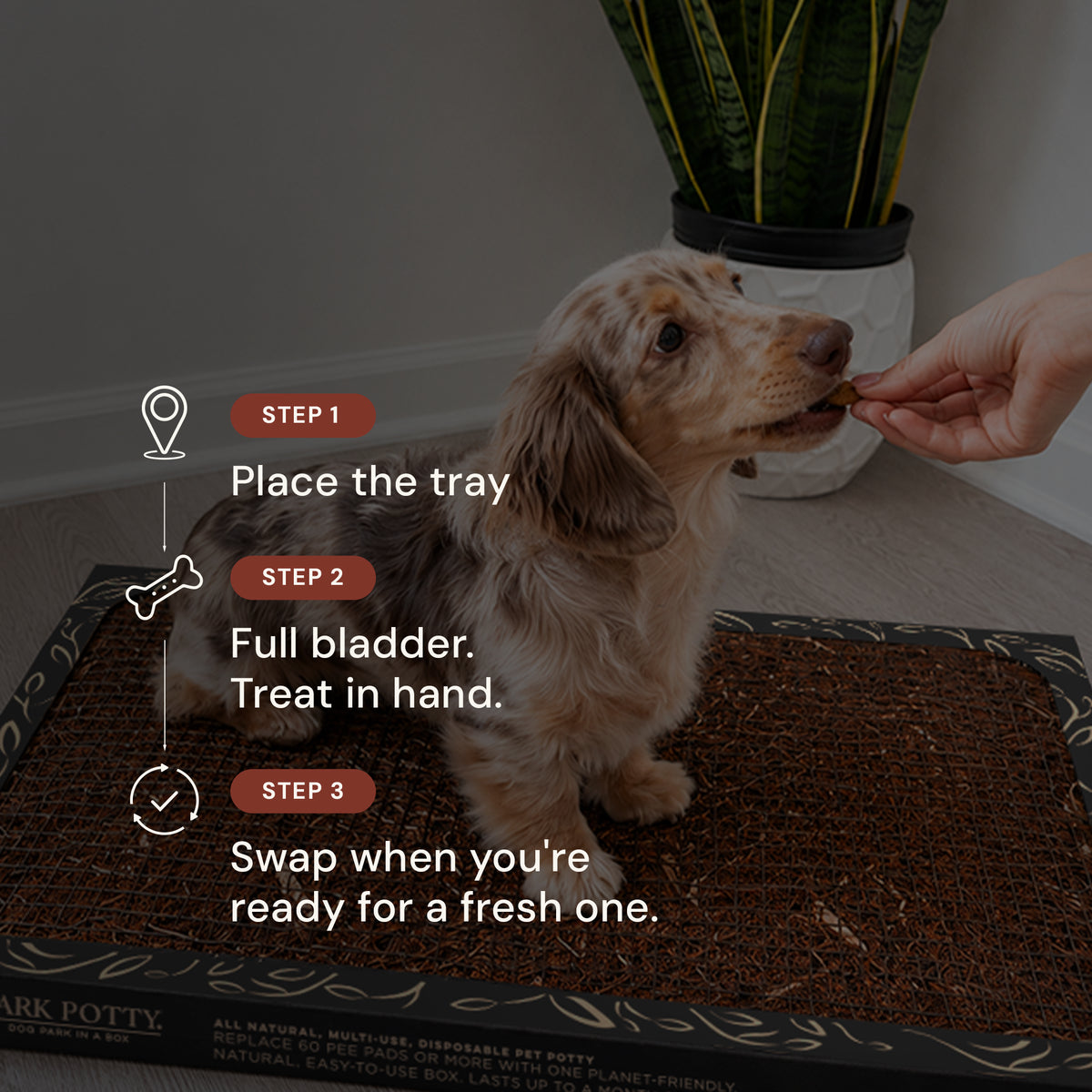 Bark Potty 5
