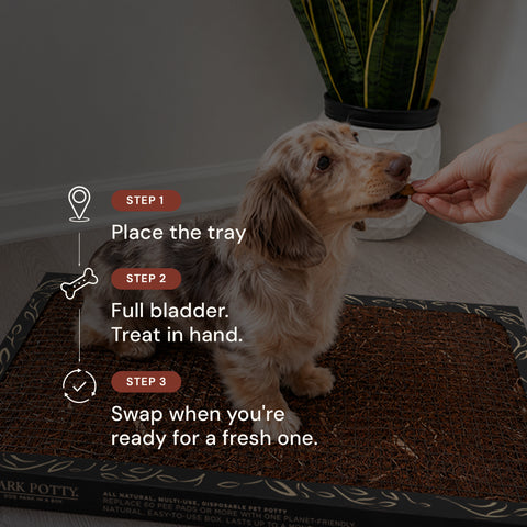 The Litter Box for Dogs - Standard