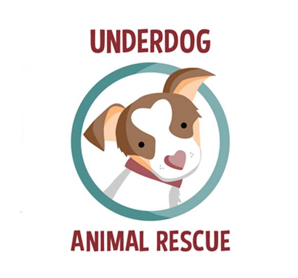 underdogca com27