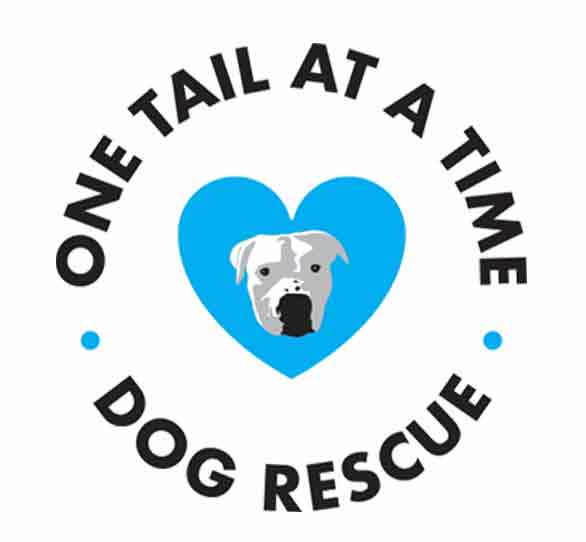 onetail org19
