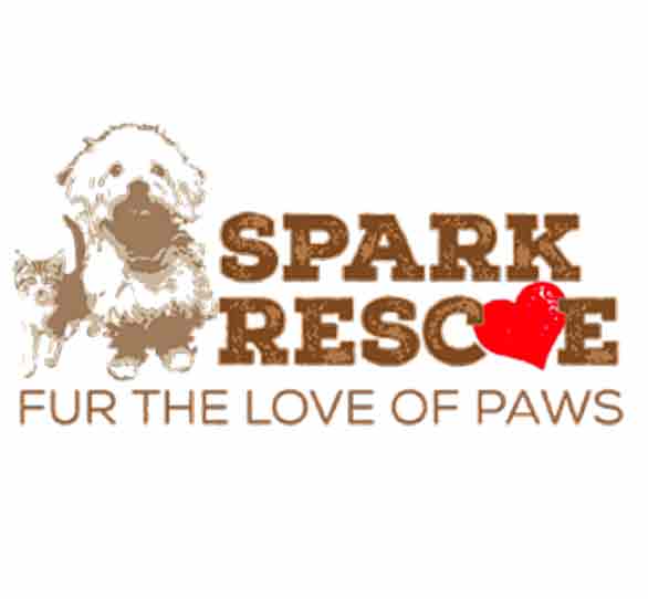 sparkrescue org17