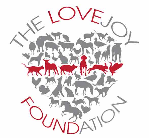 lovejoyfoundation org18