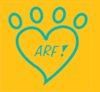 angelsofrawleyfoundation org37