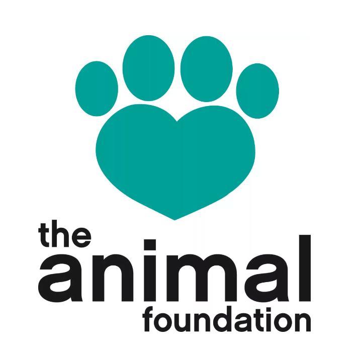 animalfoundation com45