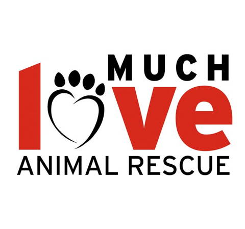 Animal shelter3