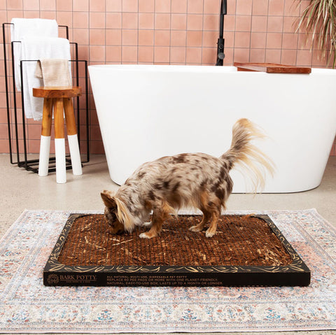 Puppy pee patch with a small dog using it in a bathroom setting, featuring natural bark and odor control