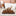 Puppy pee patch with a small dog using it in a bathroom setting, featuring natural bark and odor control
