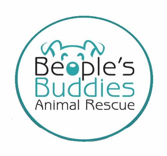 beoplesbuddies org29