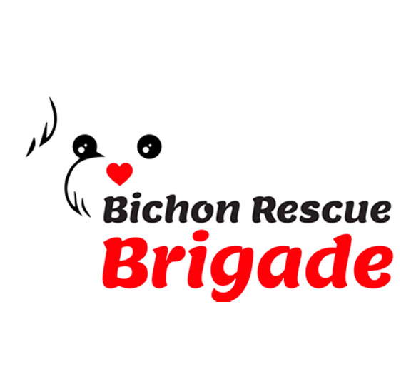 Animal shelter8