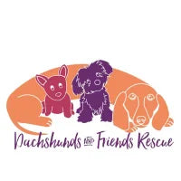 dachshundsandfriends org49