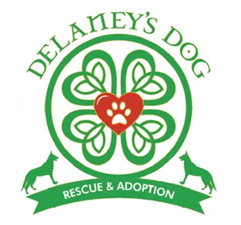 Animal shelter13