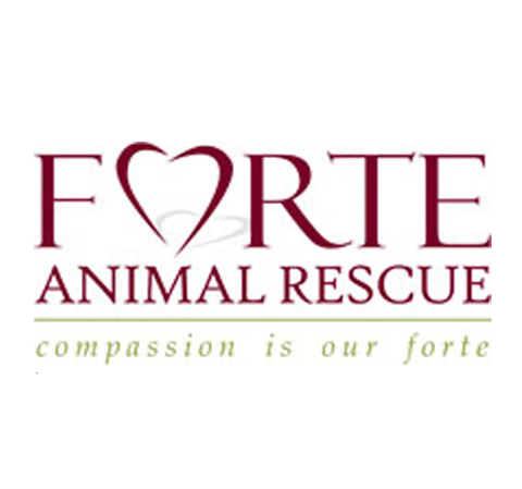 Animal shelter14