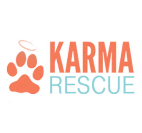 Animal shelter9