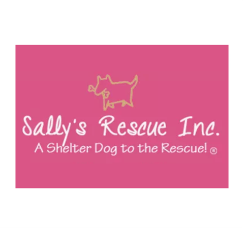 Animal shelter15