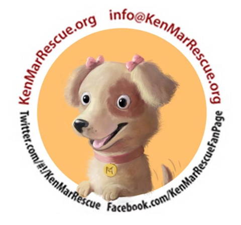 Animal shelter11