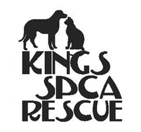 Animal shelter16