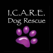 icaredogrescue org31