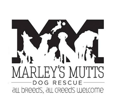 Animal shelter4