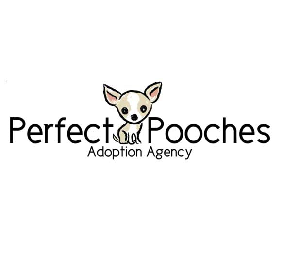 perfectpooches org26