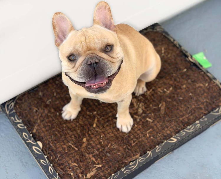 Responsibly sourced, fsc certified bark
