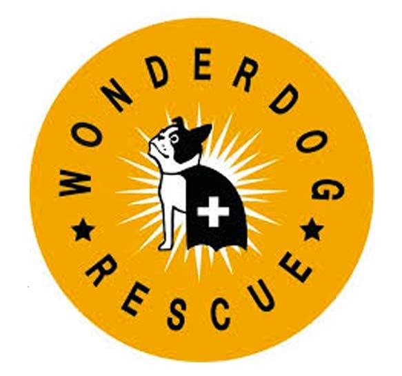 Animal shelter6